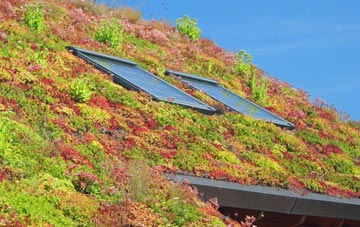 Littledean Hill living roof systems